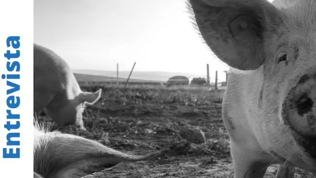 Granja RALCO, Chile  - ¿Cuáles han sido las técnicas que permiten sus buenos resultados?