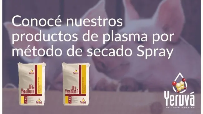 Conocé nuestros productos de plasma por método de secado spray