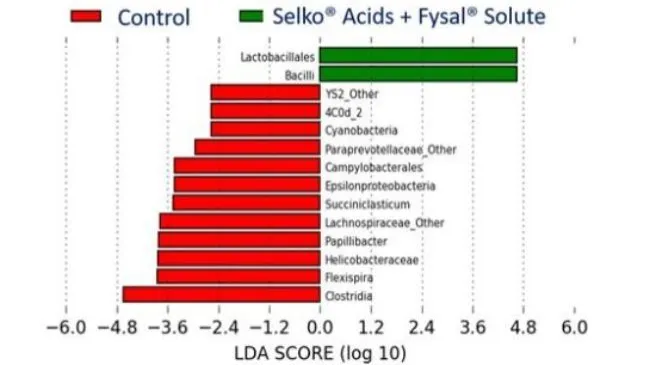 Trouw Nutrition España lanza Fysal Solute para controlar E.coli y Salmonella