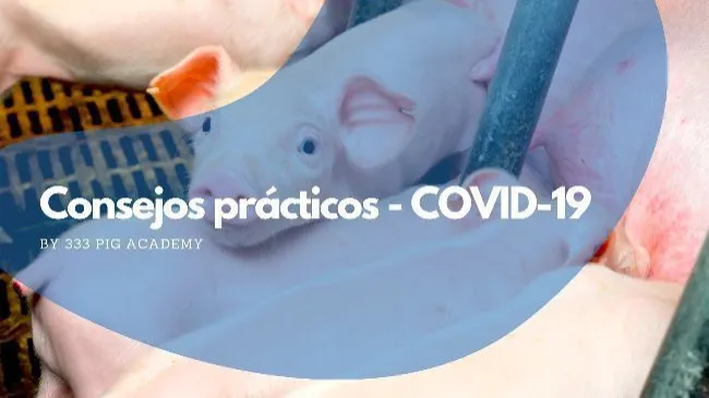 Consejos prácticos para implementar en granjas frente al COVID-19