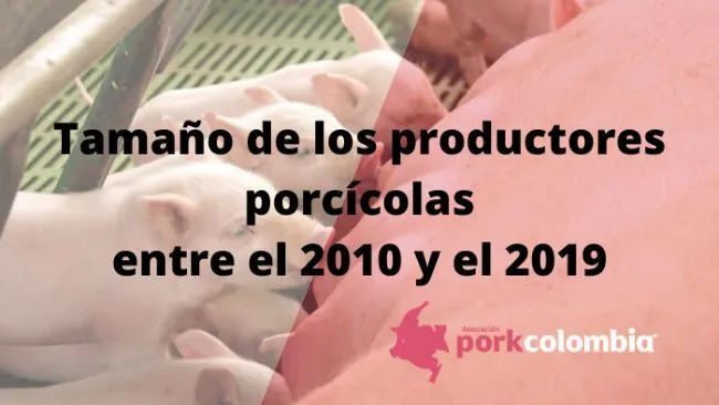  Tamaño de los productores porcícolas entre el 2010 y 2019