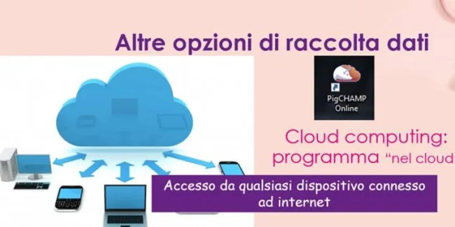 Vuoi seguire le tue azienda da casa? Scegli PigChamp On line e sarai s...