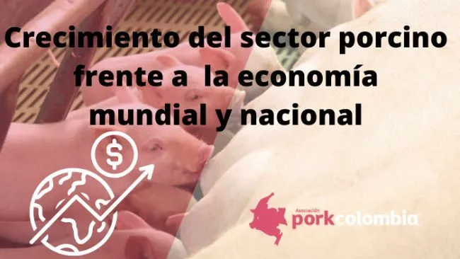 Crecimiento del sector porcino frente a la economía mundial y nacional .