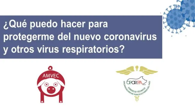 Hecha un vistazo!!!