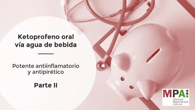 Ketoprofeno vía agua de bebida: potente antiinflamatorio y antipirético