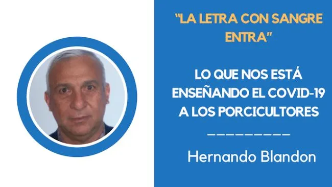 Lo que nos está enseñando el COVID-19 a los Porcicultores 