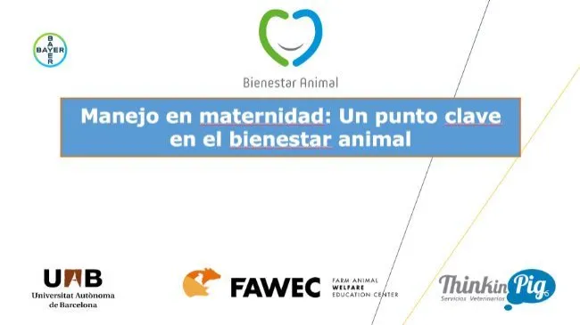 Webinar Bayer- Manejo en Maternidad: Un punto clave en el Bienestar Animal