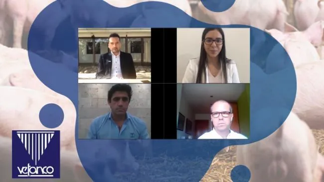 Acesse ao webinar do Dr. Albert Finestra oferecido a toda a Latinoamérica.
