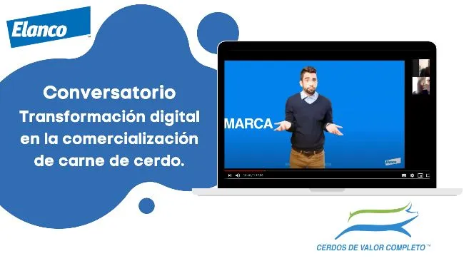Transformación digital en la comercialización de carne de cerdo