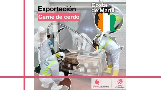 Primera exportación de carne de cerdo colombiana a Costa de Marfil
