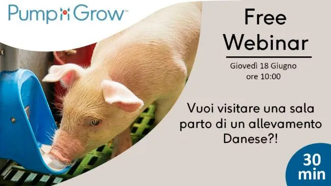 Pump'N'Grow Free Webinar - Giovedì 18 Giugno ore 10:00