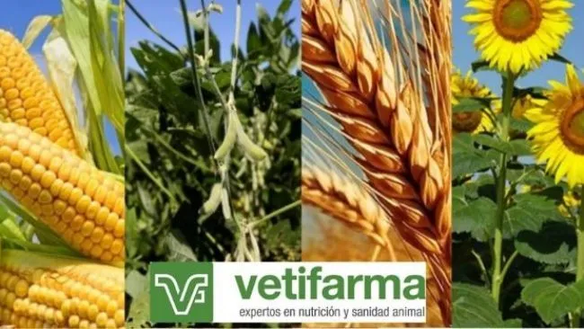 Fórmulas de Vetifarma mejoran materias primas para plan de alimentación porcina.