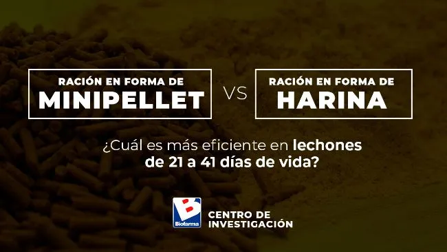 #BiofarmaInvestiga, Capítulo 3 