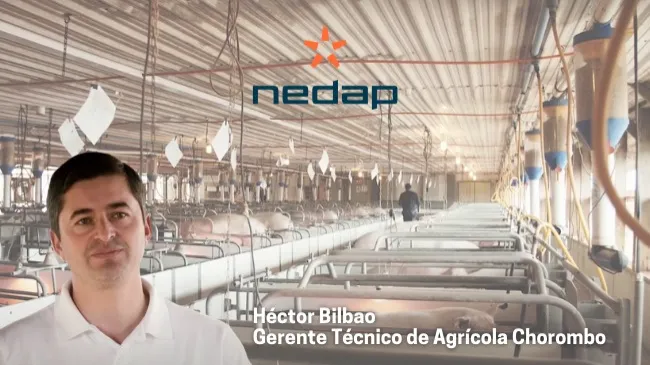 Nedap en Agrícola Chorombo - Chile