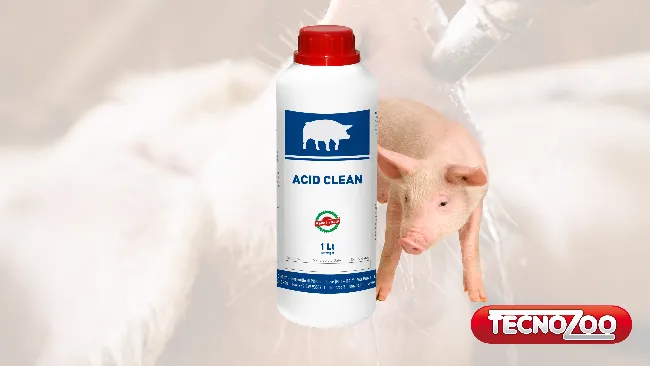 TECNOZOO PRESENTA ACID CLEAN 