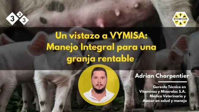 Un vistazo a VYMISA: Manejo integral para una granja rentable.