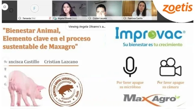 Producción con alto compromiso de bienestar animal