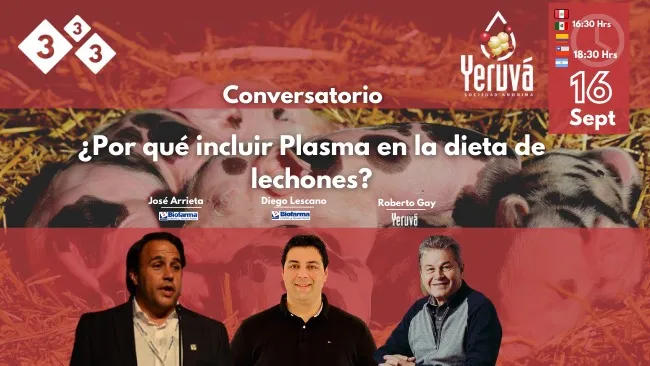 Conversatorio Yeruvá ¿Por qué incluir plasma de la dieta de lechones?