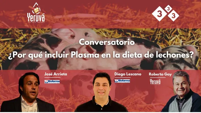 ¿Por qué incluir plasma de la dieta de lechones?