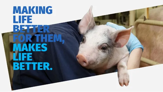 Elanco completa l'acquisizione di Bayer Animal Health