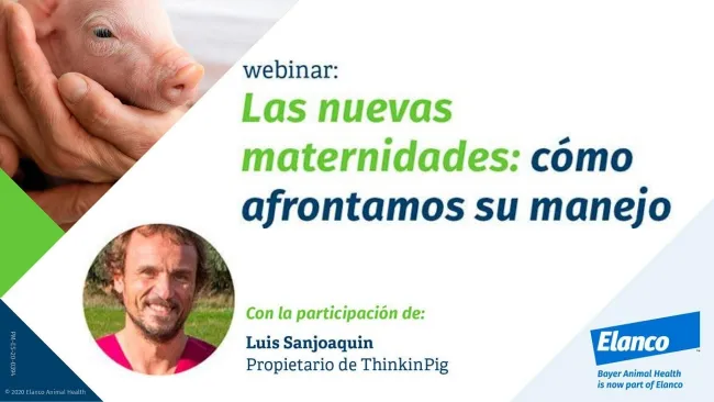 Webinar "Las nuevas maternidades: cómo afrontamos su manejo"