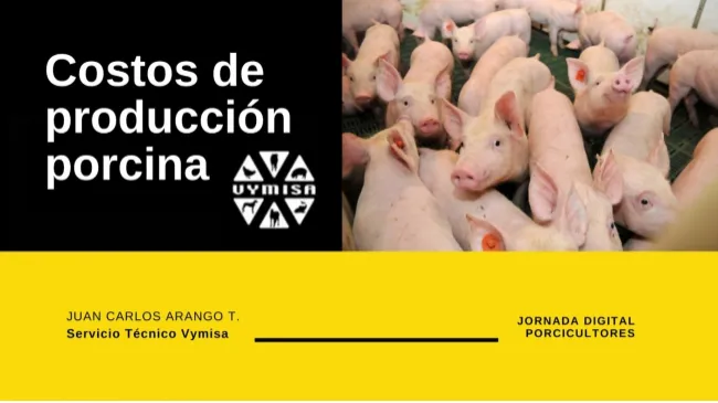 Webinar "Costos de Producción Porcina"