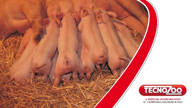 LA GESTIONE ALIMENTARE DELLA SCROFA  