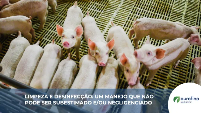 Limpeza e desinfecção: Um manejo que não pode ser subestimado e/ou negligenciado