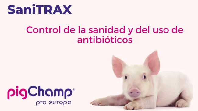Reducción del uso de antibióticos en las granjas