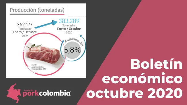 Nuevo boletín económico de octubre 2020 - Porkcolombia
