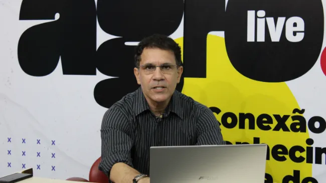 AgroLive reflete sobre o ano de 2020 e faz um panorama de mercado da suinocultura