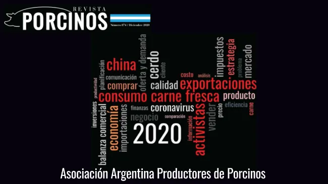 ¿Qué aprendimos del año 2020?