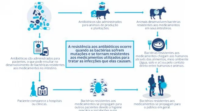 A origem do conceito One World, One Health!
