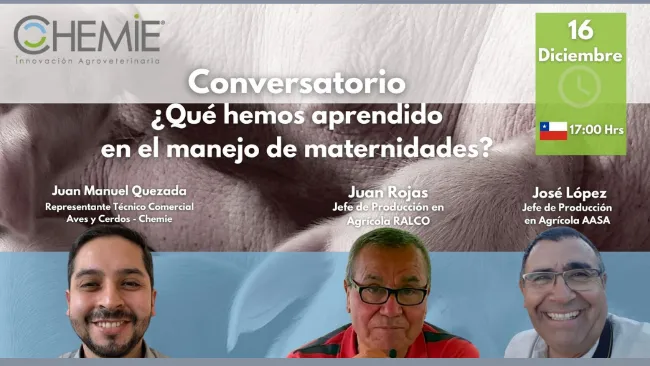 Conversatorio: ¿Qué hemos aprendido en el manejo de maternidades?