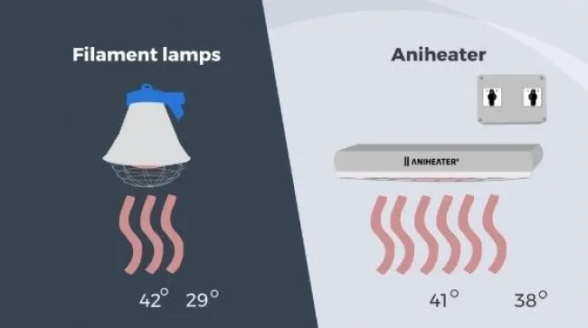 Non hai ancora provato aniheater?? Cosa aspetti..