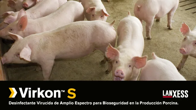 Aerosolterapia con solución desinfectante de Virkon™ S y el control para enfermedades respiratorias