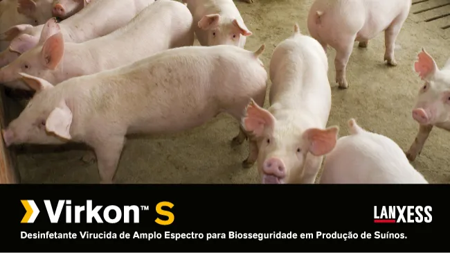 Nebulização aérea de solução desinfetante Virkon™ S e o controle de doenças respiratórias