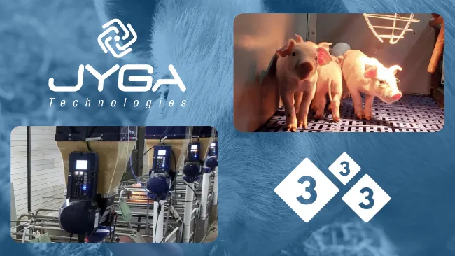 Jyga Technologies se suma a la comunidad 333