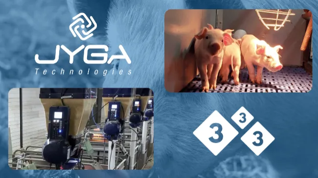 Jyga Technologies se incorpora à comunidade 333