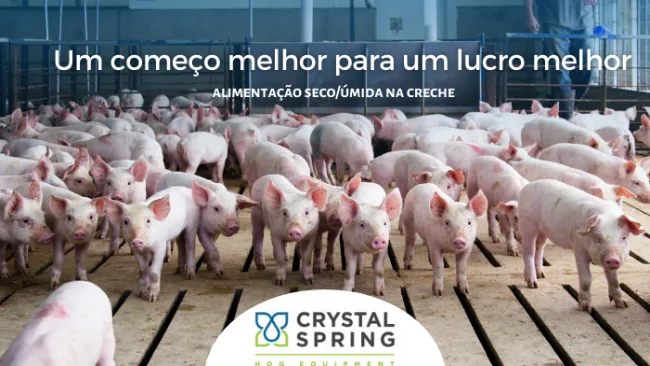 Um começo melhor para um lucro melhor