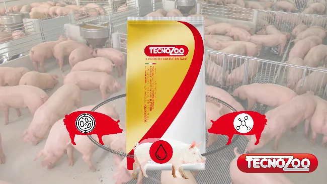 E' POSSIBILE OTTENERE 3 BENEFICI DA UN UNICO PRODOTTO? 