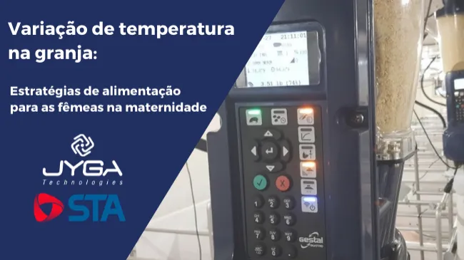 Estratégias de produção e manejo de suínos para vencer o calor na maternidade