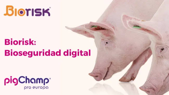 Biorisk: Bioseguridad digital