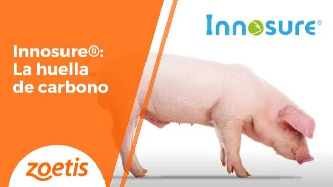 Innosure®: La huella de carbono