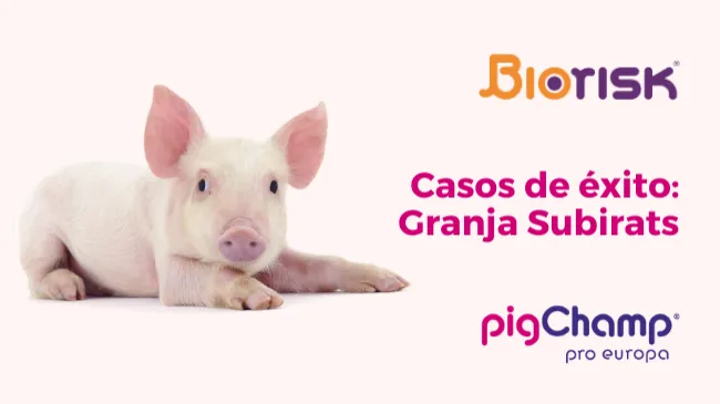 Control de la bioseguridad con Biorisk: ¿A qué riesgos está expuesta tu granja?