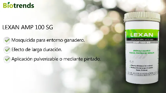 CONTROL DE MOSCAS CON INSECTICIDA LEXAN AMP 100 SG