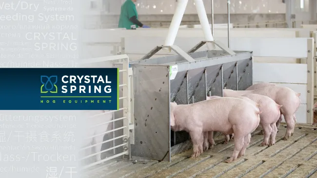 Apaixonados por Comedouros: O jeito Crystal Spring