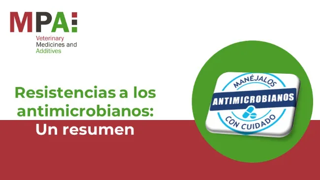 Resistencias a los antimicrobianos: un resumen