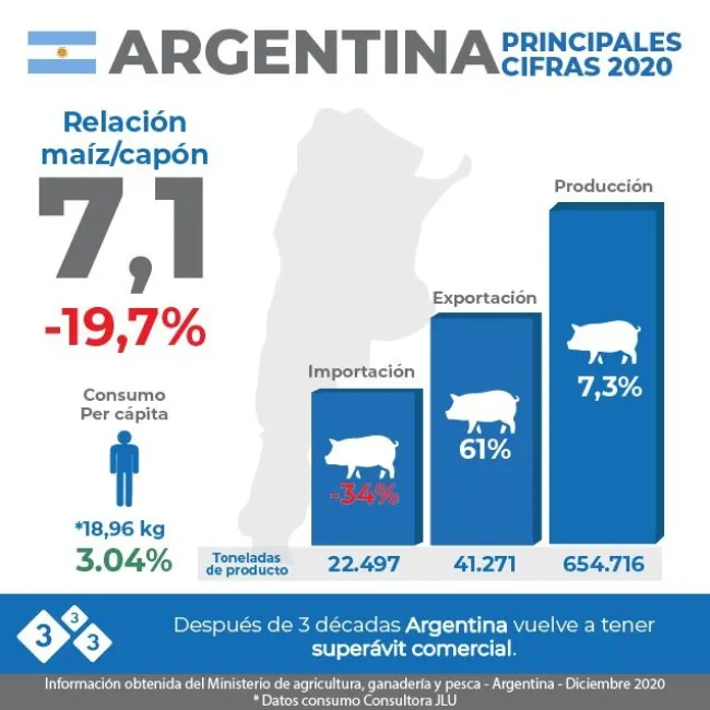 🇦🇷 Estadísticas del sector porcino argentino 2020. 🐷