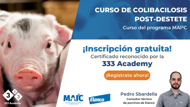 ¿Quieres certificarte como especialista en salud intestinal del cerdo?